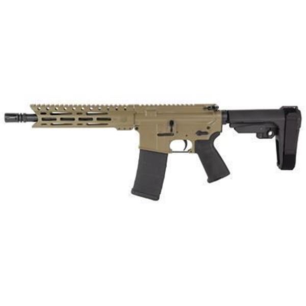 DBF DB15 556 10" MLOK 30RD FDE BRACE