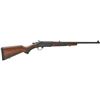 Image 1 : HENRY SINGLESHOT BLUED 350LEG 22"