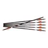 Image 1 : RAVIN ARROWS 500GR HD 6PK .001