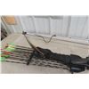 Image 5 : American Compound Bow and 11 Arrows