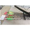 Image 6 : American Compound Bow and 11 Arrows