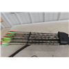 Image 8 : American Compound Bow and 11 Arrows