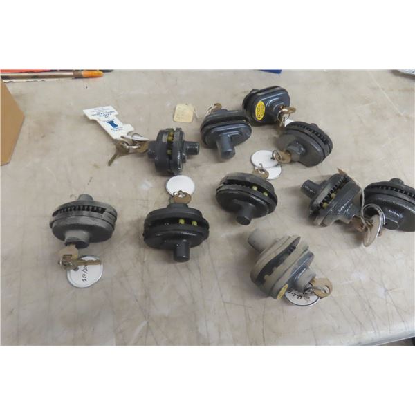 10 Trigger Locks with Keys