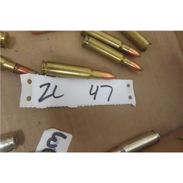 .308 Winchester Ammunition