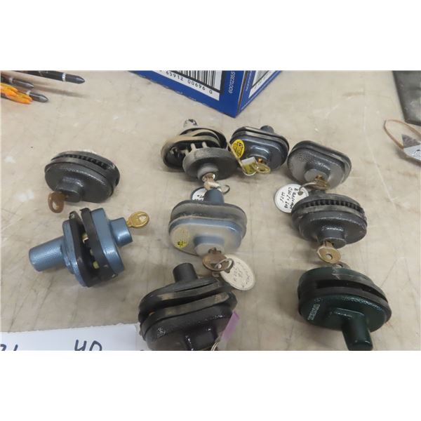 10 Trigger Locks with Keys