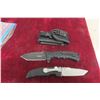 Image 1 : Hogue Elishewitz Folding Knife 8" and Proelia Folding Knife 8½" — With Sheath
