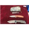 Image 1 : Kizer N690 Folding Knife 7" and Kizer S35VN Folding Knife 8" with Microtech Pen — With Case