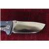 Image 3 : LionSteel Molletta Folding Knife 7" and Delmax Folding Knife 7½"