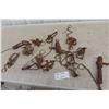Image 1 : 12 Victor Leg-Hold Traps