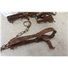 Image 2 : 12 Victor Leg-Hold Traps