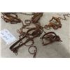 Image 3 : 12 Victor Leg-Hold Traps