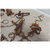Image 4 : 12 Victor Leg-Hold Traps