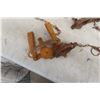 Image 2 : 9 Victor Leg-Hold Traps – One Double Spring