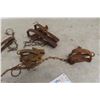 Image 4 : 9 Victor Leg-Hold Traps – One Double Spring