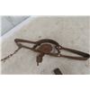 Image 1 : 5 Victor Double-Spring Double Leg-Hold Traps