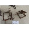 Image 4 : 5 Conibear Traps