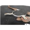 Image 2 : Set of Western Spurs