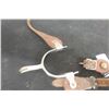 Image 4 : Set of Western Spurs