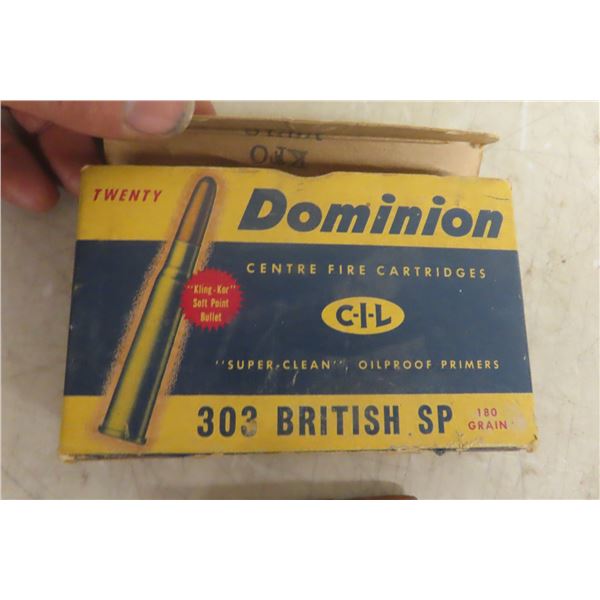 .303 British Ammo – 20 Rounds