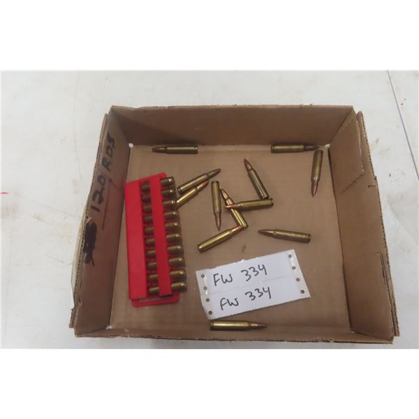 .223 Rem Ammo – 23 Rounds
