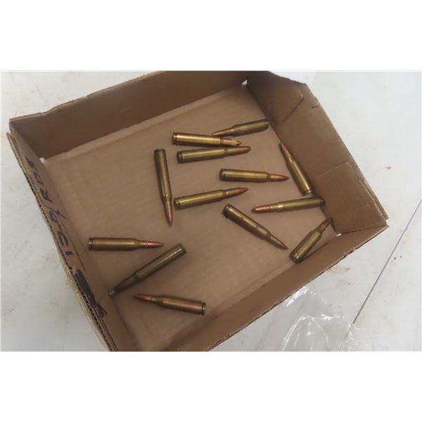 .25-06 Ammo – 13 Rounds