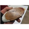 Image 12 : 6 Carved Duck Ornaments/Decoys