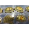 Image 5 : Winnipeg Blue Bombers 75th Anniversary Pin Collection