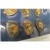 Image 7 : Winnipeg Blue Bombers 75th Anniversary Pin Collection