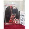 Image 1 : Michael Jordan Chicago Bulls Card