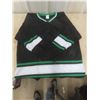 Image 3 : 15 Assorted XXL Hockey Jerseys