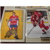 Image 7 : Assorted Beehive Hockey Collection