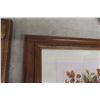 Image 7 : 5 Pictures with Nice Frames, Largest 18" x 22"