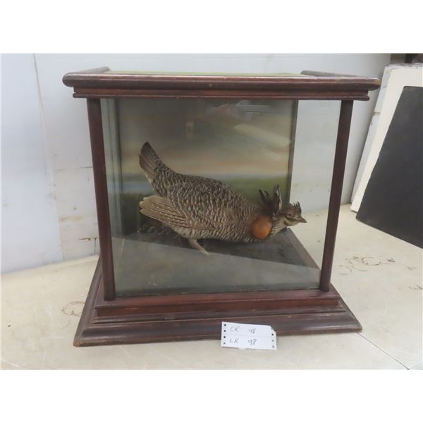 Vintage Taxidermy Grouse in Glass Display Cabinet, 20" x 23" x 16 1/2"