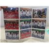Image 3 : 50+ Upper Deck Hockey Cards