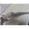 Image 3 : Visor, Clear Polycarbonate x 7