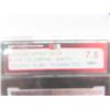 Image 3 : Graded Machim Celebrini Young Guns Teammates Card