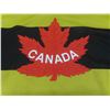 Image 3 : Vintage Winnipeg Falcons Team Canada Olympic Hockey Jersey - Nike - Mens XL