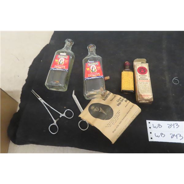 Antique Druggist Lot: Veterinary Medical Bottle, Quakermaid Bottles, Medical Scissors