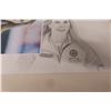 Image 5 : Super Cool 2015 Portrait Black & White Pencil Sketch of Scotties Tournament of Hearts Winner