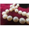 Image 3 : Vintage Pearl Necklace with 14K Gold Fishhook Clasp – Pearls Appear to Be Akoya