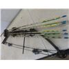 Image 5 : Compound Bow w/ 6 Arrows, Arrow End/Tips & Soft Bag