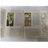 Image 4 : 6 Red Rose Brooke Bond Tea Card Albums Complete with Cards