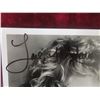 Image 3 : Melanie Griffith Working Girl Signed 8" x 10" Photo