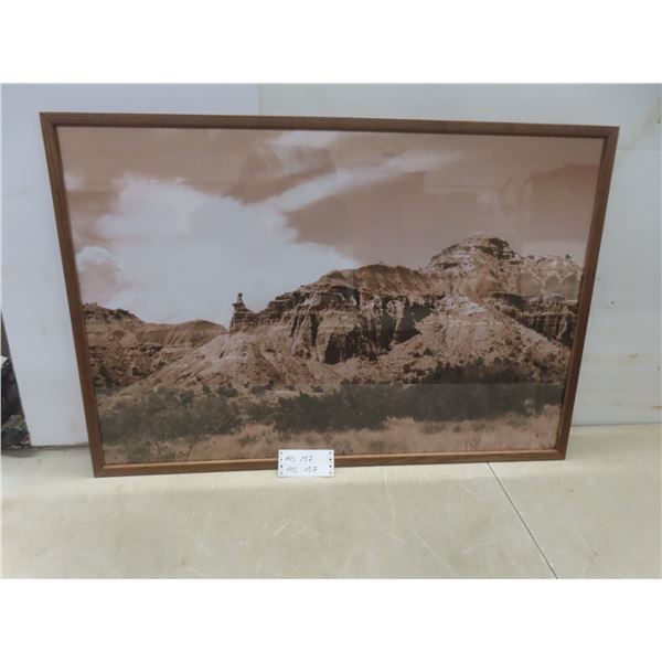 Framed Picture 25" x 37"