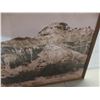 Image 3 : Framed Picture 25" x 37"