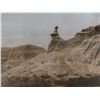 Image 4 : Framed Picture 25" x 37"