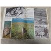 Image 14 : Fisher Price Family Village & International Wildlife Encyclopedia