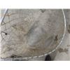 Image 13 : 6 Fishing Rods, 4 Reels, 4 Nets - 1 in Need of Repair