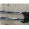 Image 3 : Atomic Skis, Poles & Carry Bag