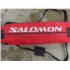 Image 12 : Skis, Poles & Carry Bag